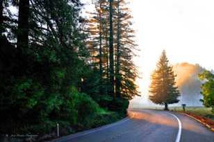 Russian River Road 2-7892 Russian River Road 2-7892